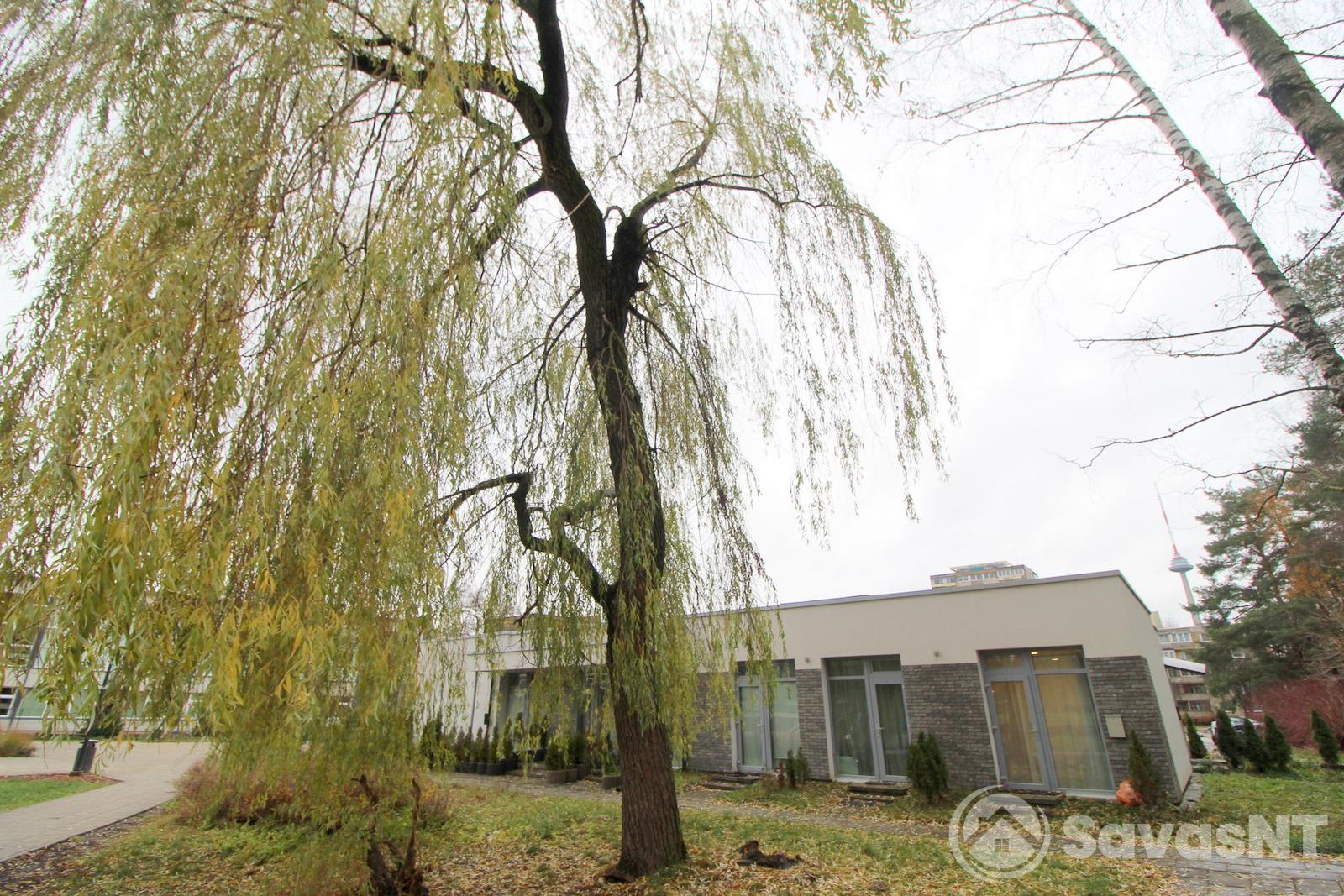 UŽ GERĄ KAINĄ IŠNUOMOJAMAS KOMPAKTIŠKAS VIENO KAMBARIO BUTAS LAZDYNUOSE, Architektų g.