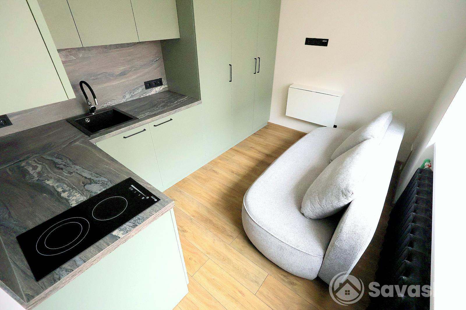 Antakalnio gatvėje, Antakalnyje, nuomojamas studio tipo butas