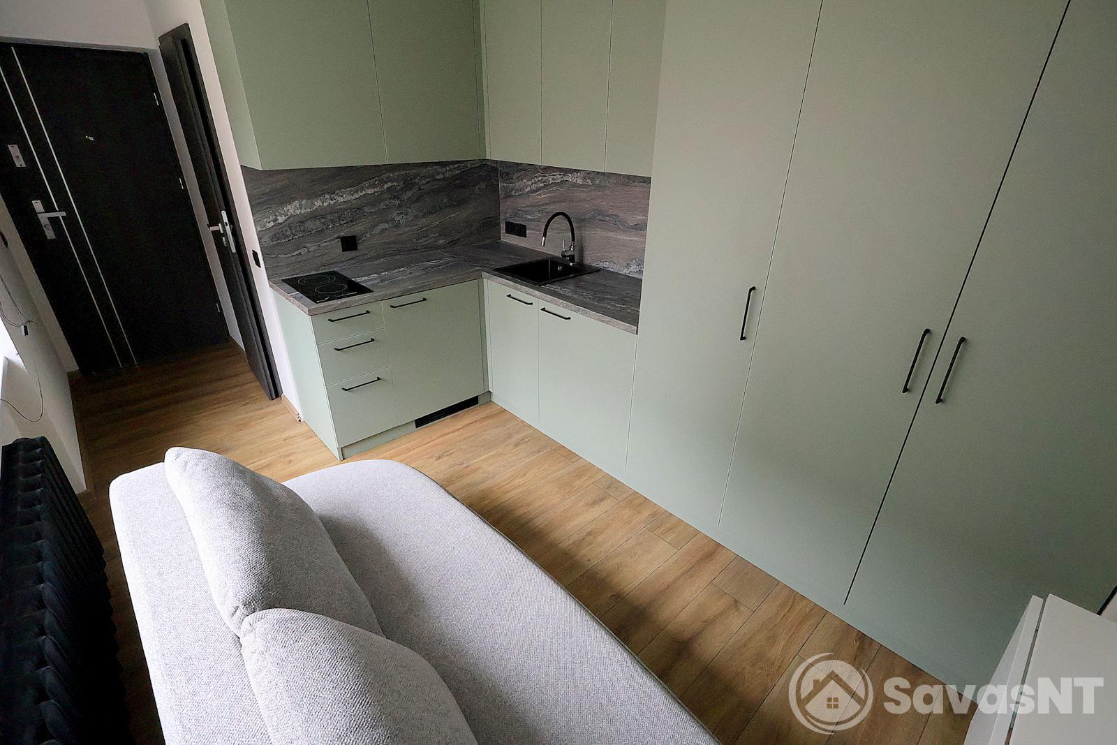 Antakalnio gatvėje, Antakalnyje, nuomojamas studio tipo butas