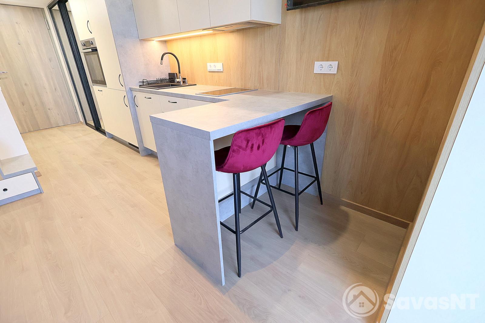 Naujamiestyje, Muitinės g. nuomojamas naujai įrengtas vieno kambario butas - LOFTAS