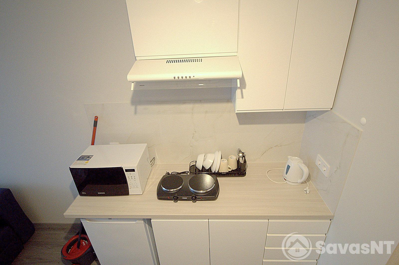 Vieno kambario butas V. Pietario g.