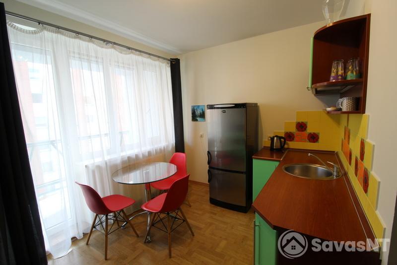 Rugių g. nuomojamas vieno kambario butas su atskira virtuve