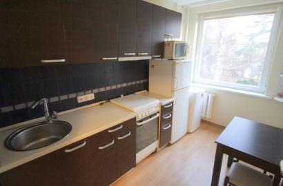 Nuomojamas vieno kambario butas Žolyno g.