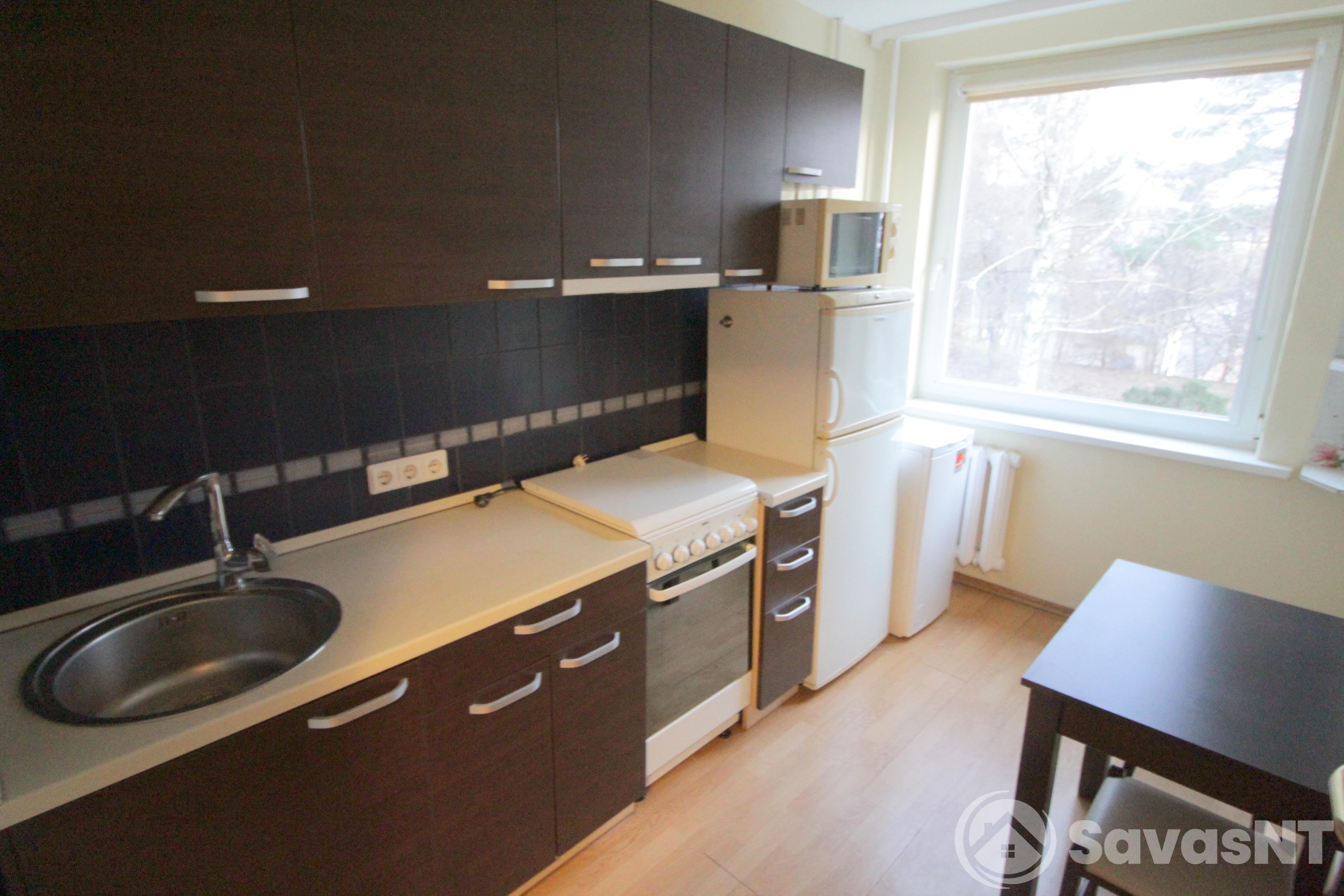 Nuomojamas vieno kambario butas Žolyno g.