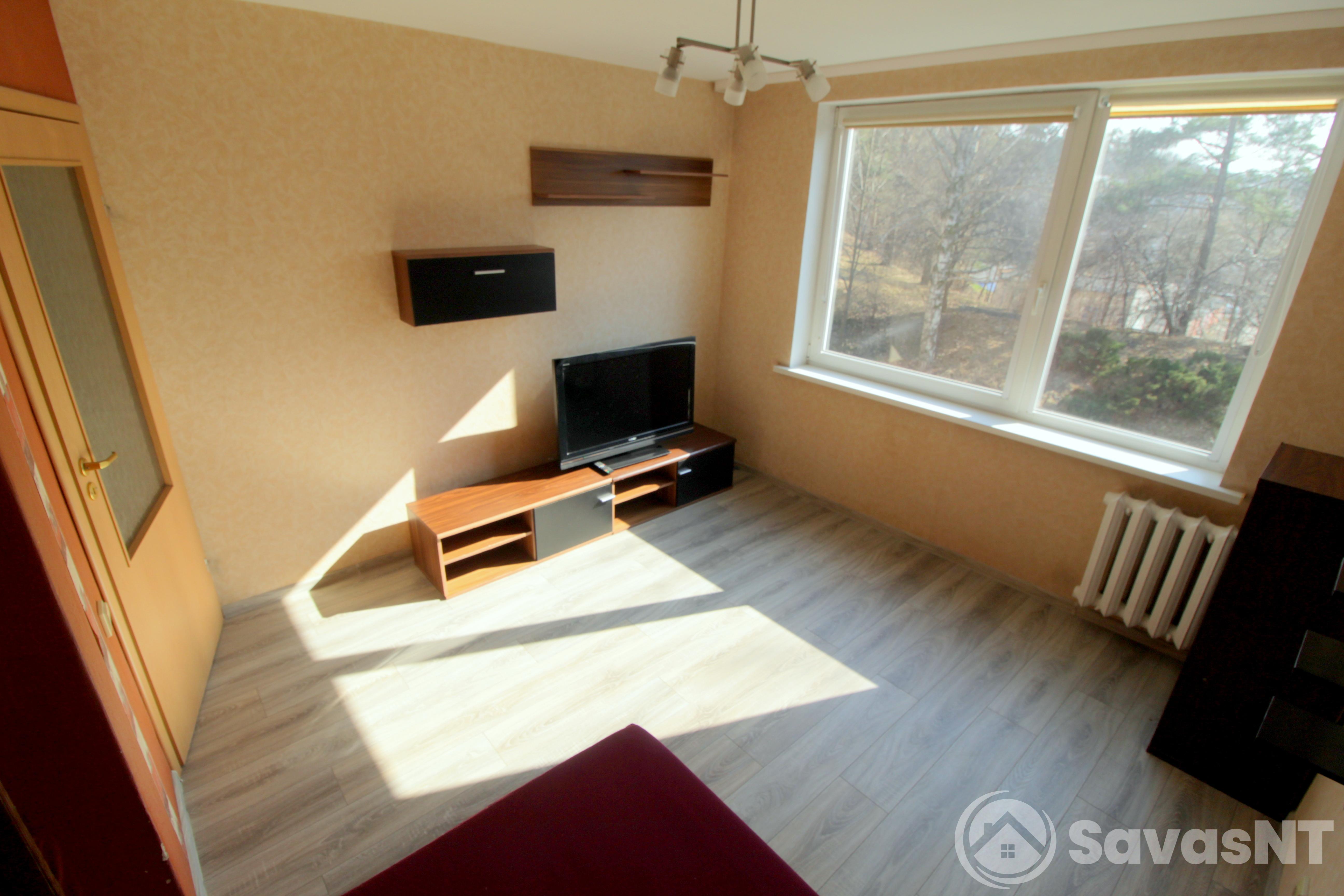 Nuomojamas vieno kambario butas Žolyno g.