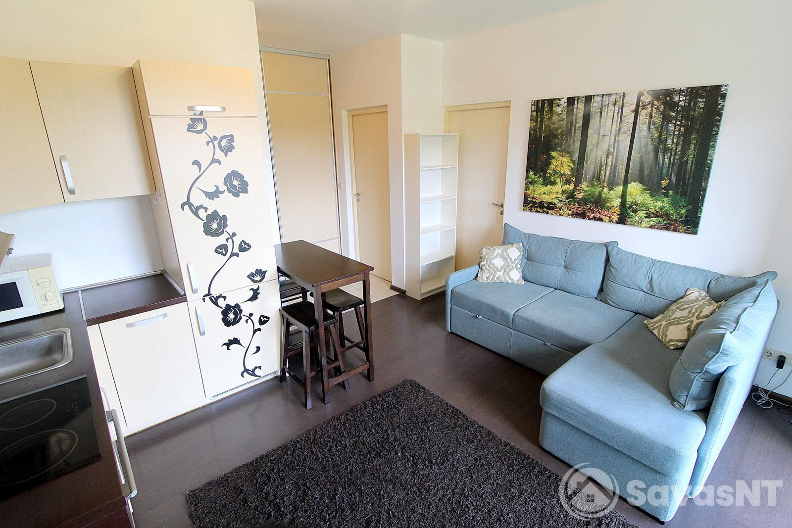 Nuomojamas 2k. butas, V. Gerulaičio g. 1