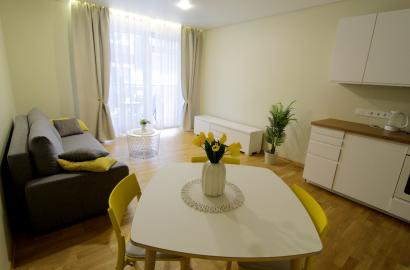 Verkiuose, NAUJOS STATYBOS NAME išnuomojamas erdvus ir jaukus, KOKYBIŠKAI ĮRENGTAS  1  kambario 30 kv.m. butas