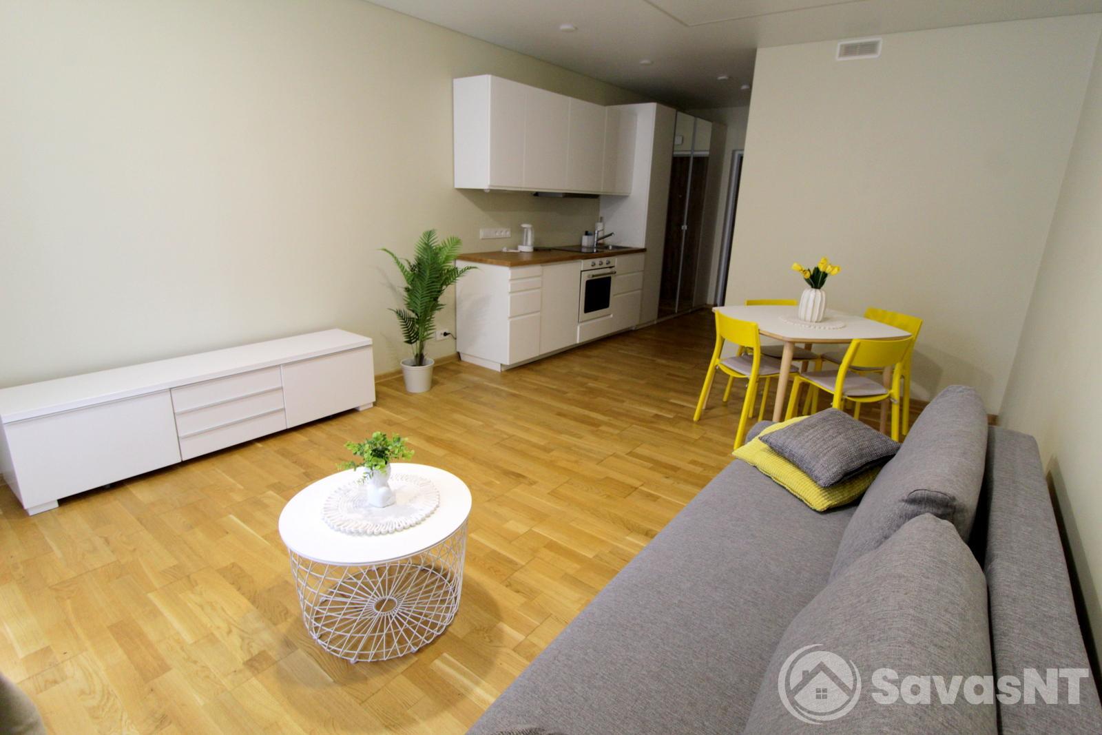 Verkiuose, NAUJOS STATYBOS NAME išnuomojamas erdvus ir jaukus, KOKYBIŠKAI ĮRENGTAS  1  kambario 30 kv.m. butas