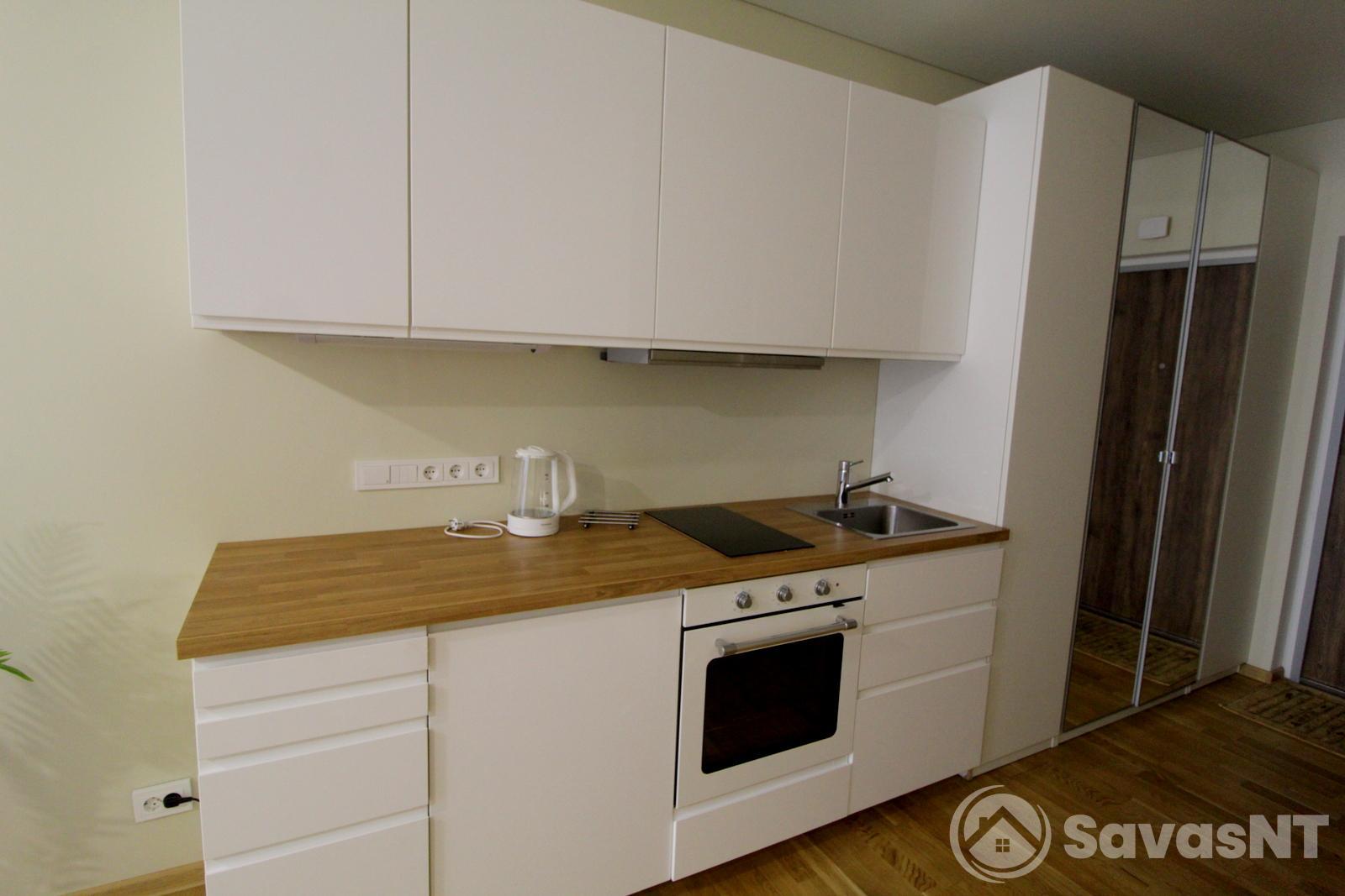 Verkiuose, NAUJOS STATYBOS NAME išnuomojamas erdvus ir jaukus, KOKYBIŠKAI ĮRENGTAS  1  kambario 30 kv.m. butas