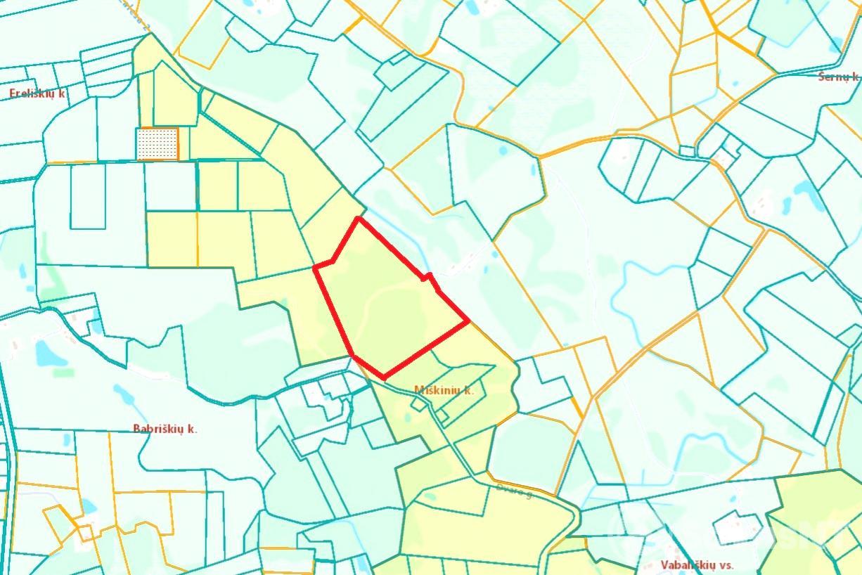 PARDUODAMAS MIŠKŲ ŪKIO SKLYPAS VILNIAUS RAJ., MIŠKININKŲ K. (RIEŠĖS SEN.) – 11,17 HA