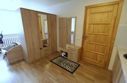 Naujamiestyje, A.Vivulskio g. nuomojamas SUREMONTUOTAS 1 kambario 19 kv.m butas.