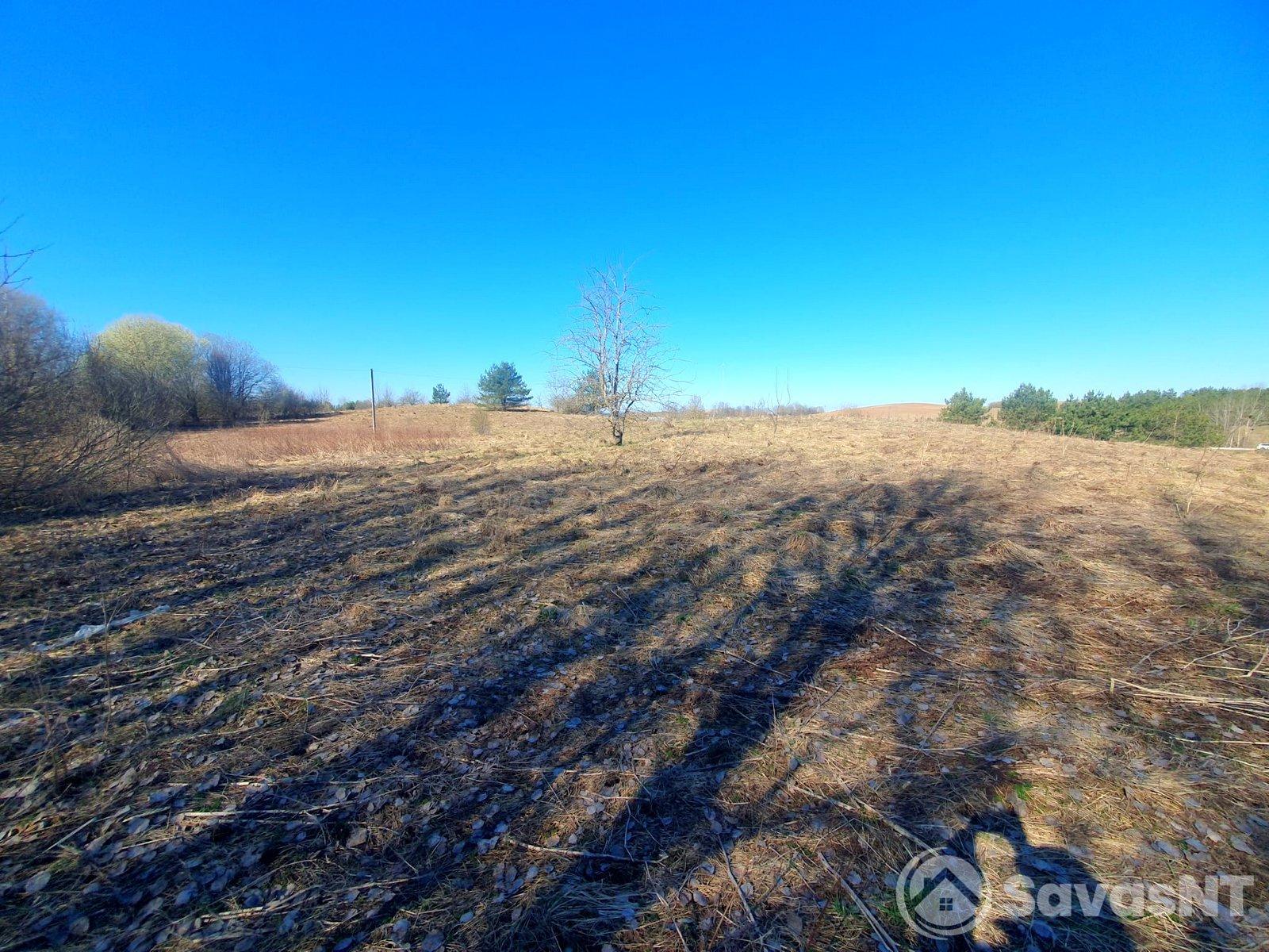 Parduomas žemės ūkio  paskirties sklypas Naujoji g.22.