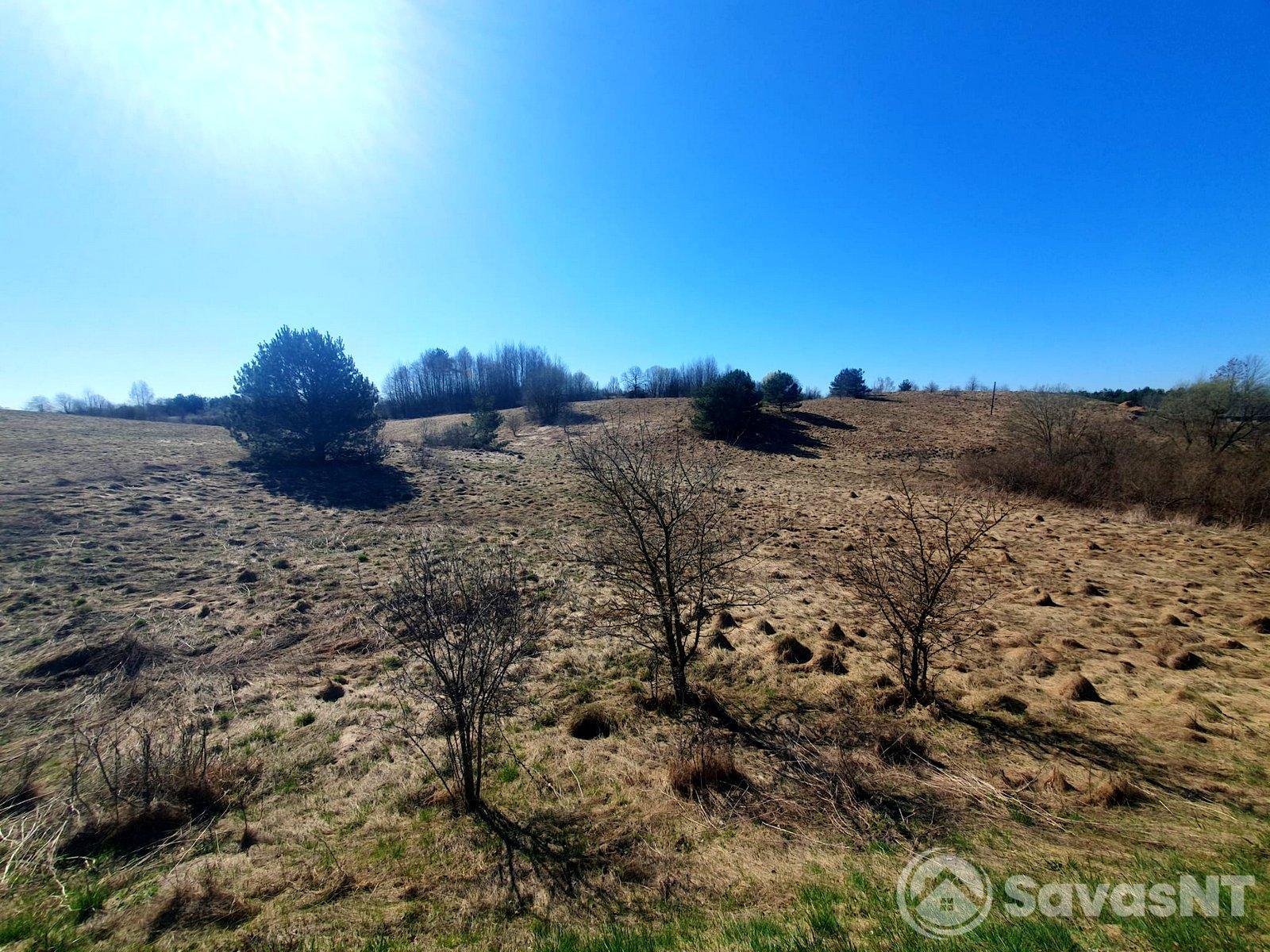 Parduomas žemės ūkio  paskirties sklypas Naujoji g.22.