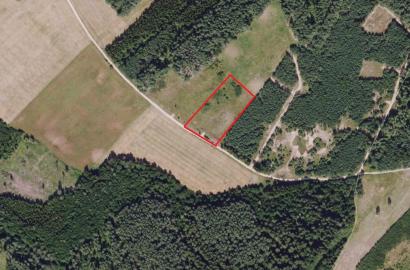 Vilniaus r.savivaldybėje.,Rukainių sen., Padvarininkų kaime parduodamas 1 ha Žemės ūkio sklypas  sklypas.